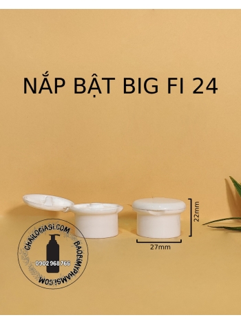 NẮP BẬT BIG F24